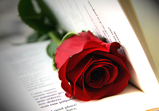 Curiosità: perché i libri romantici si chiamano Romanzi Rosa?