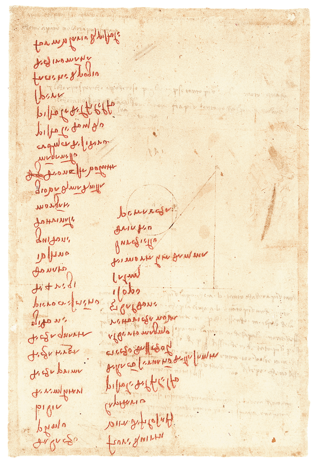 Leonardo e i suoi libri.  La biblioteca del Genio Universale.