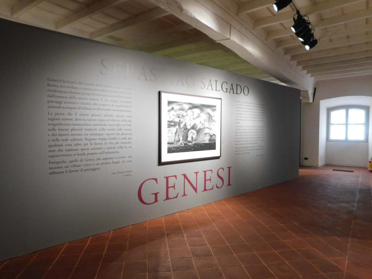 Sebastião Salgado: Genesi.