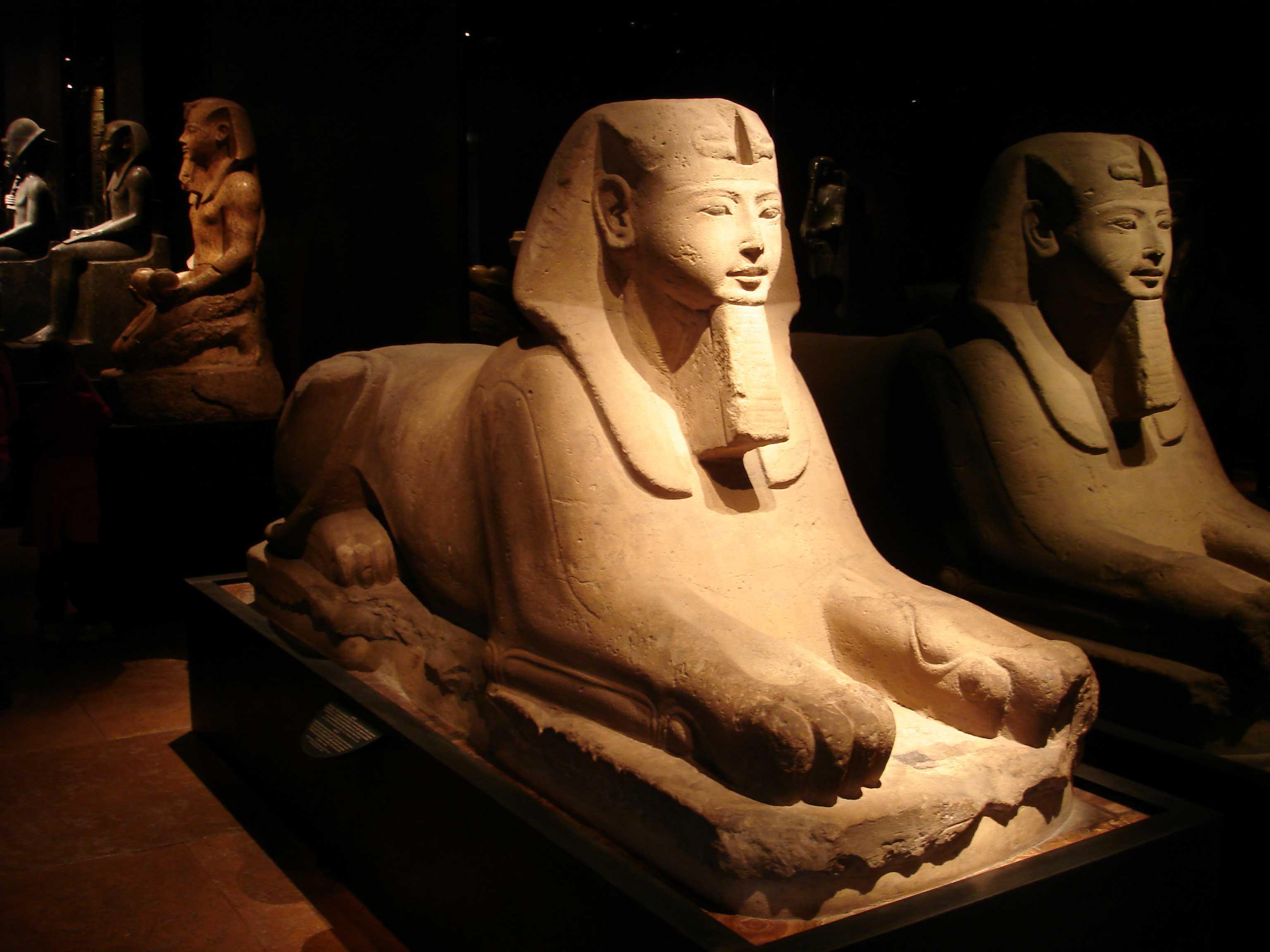 Il Museo Egizio di Torino capofila di un progetto europeo a sostegno del Museo Egizio del Cairo