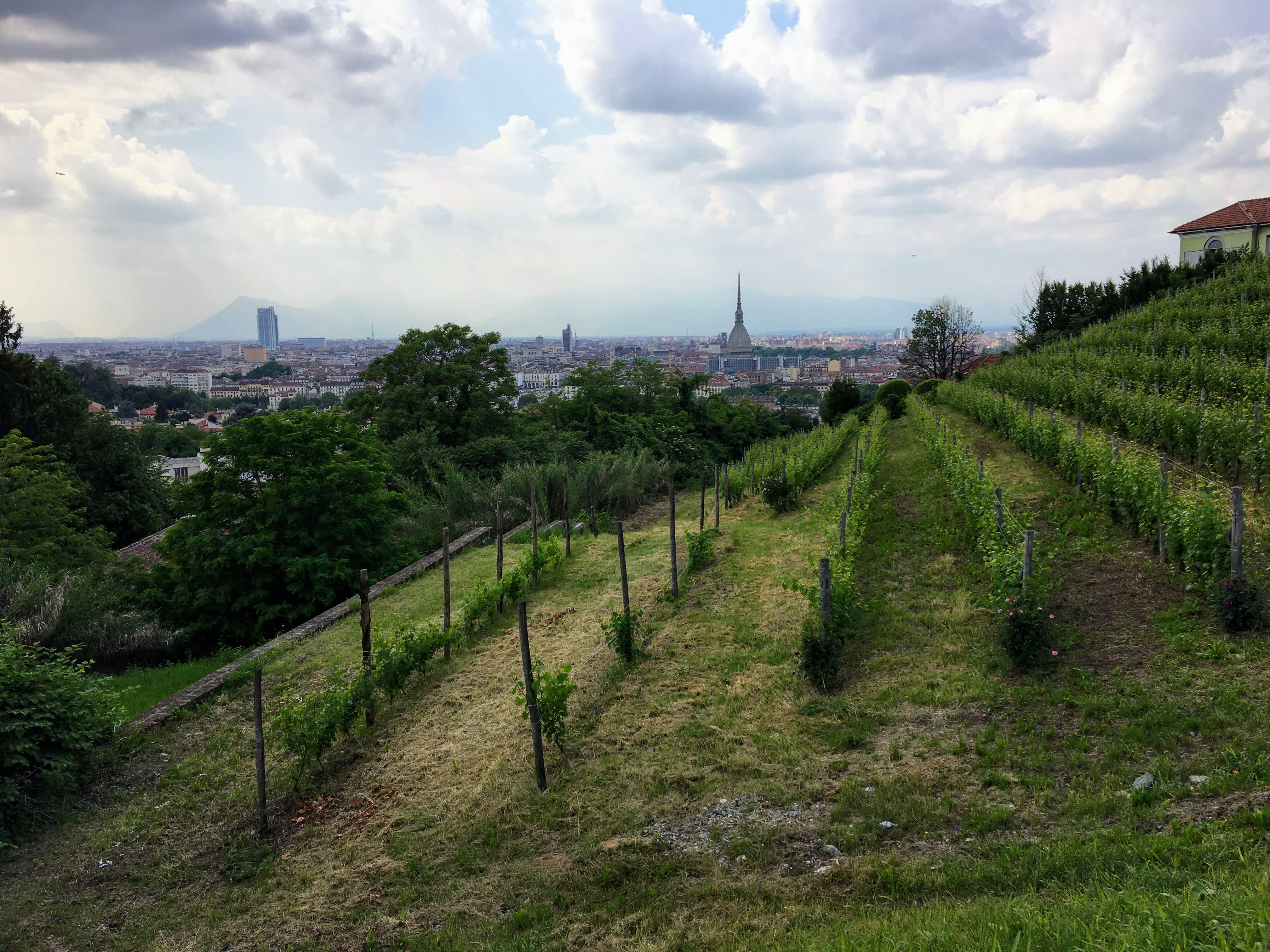 Il Piemonte e Torino su #RaiPlay