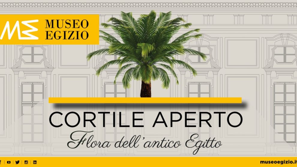 EVENTI | Cortile aperto: Flora dell’antico Egitto