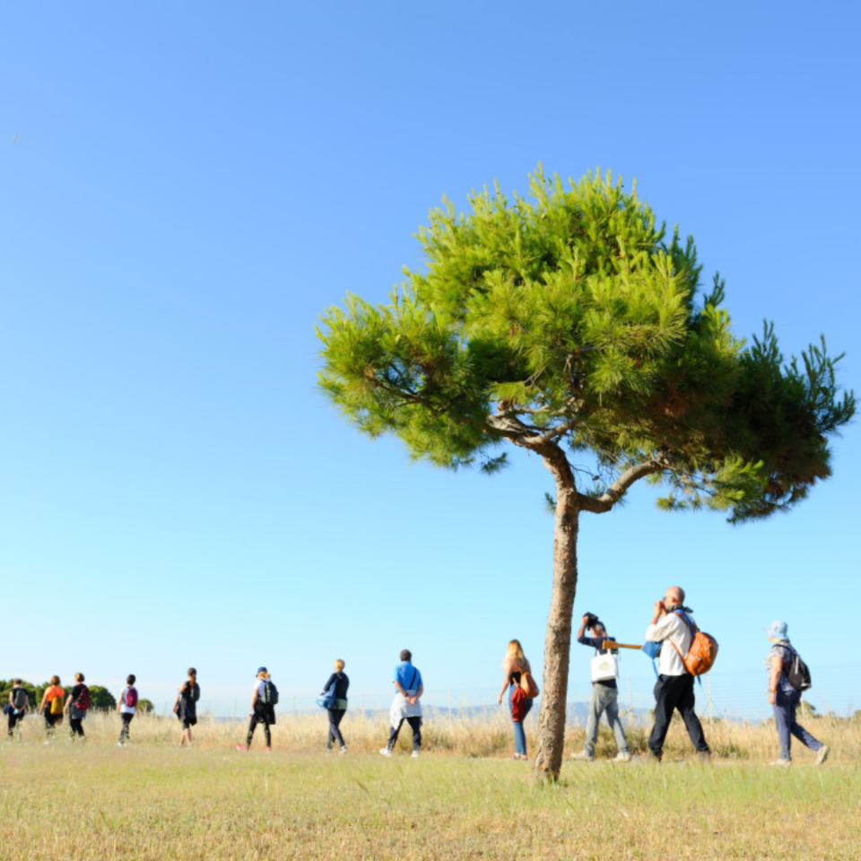 EVENTO | TEATRO | TORNA IL FESTIVAL DEL TEATRO IN NATURA NEL VERSANTE PIEMONTESE DEL PARCO NAZIONALE GRAN PARADISO DALL’8 AL 16 LUGLIO