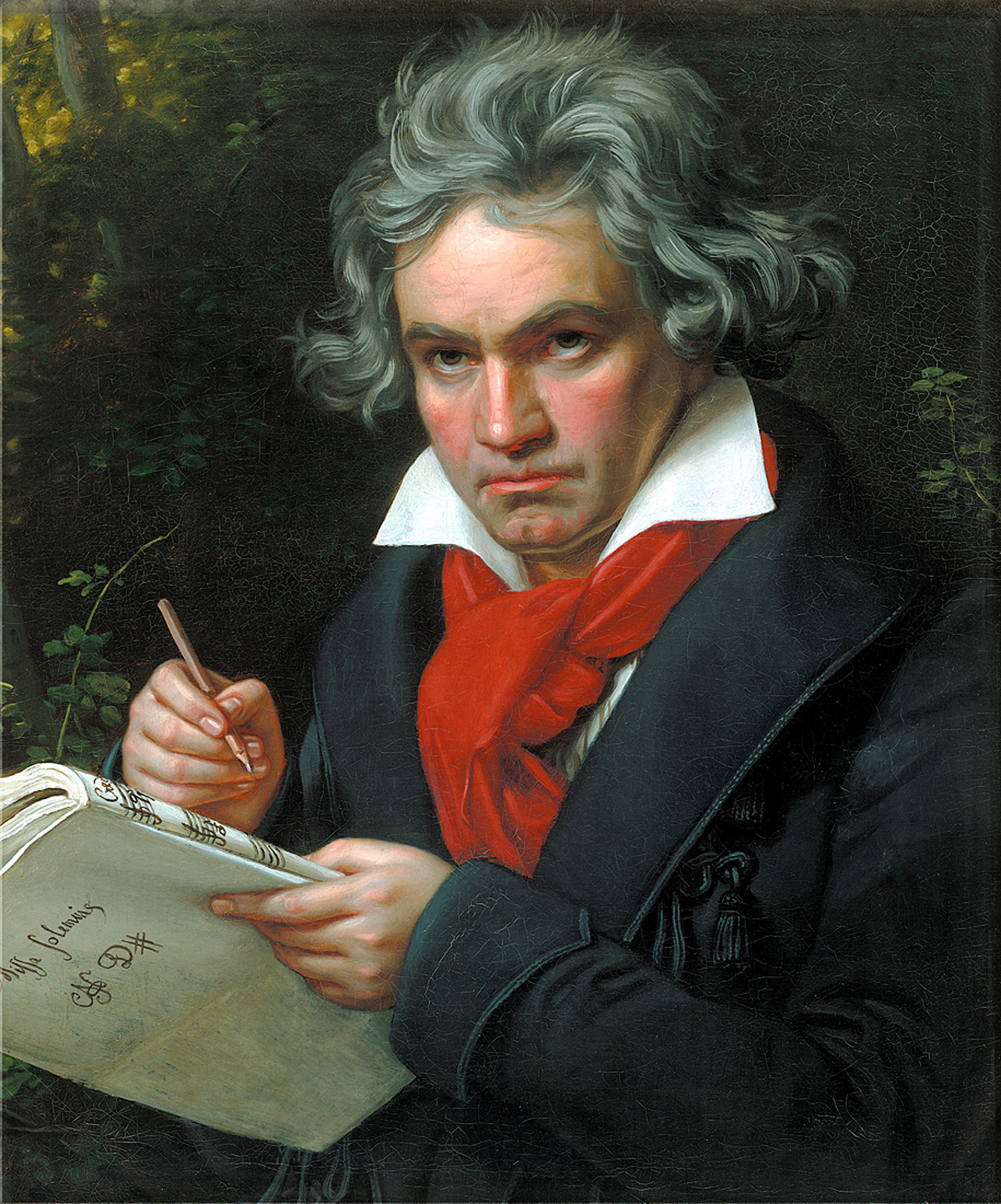 Beethoven, svelato dopo 200 anni il motivo della sua sordità
